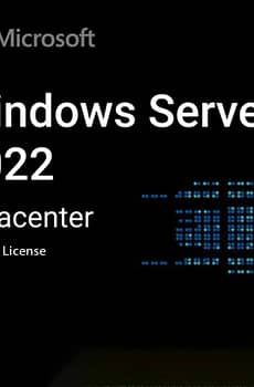 Windows Server License