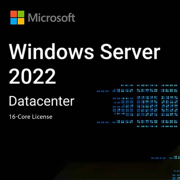 Windows Server License